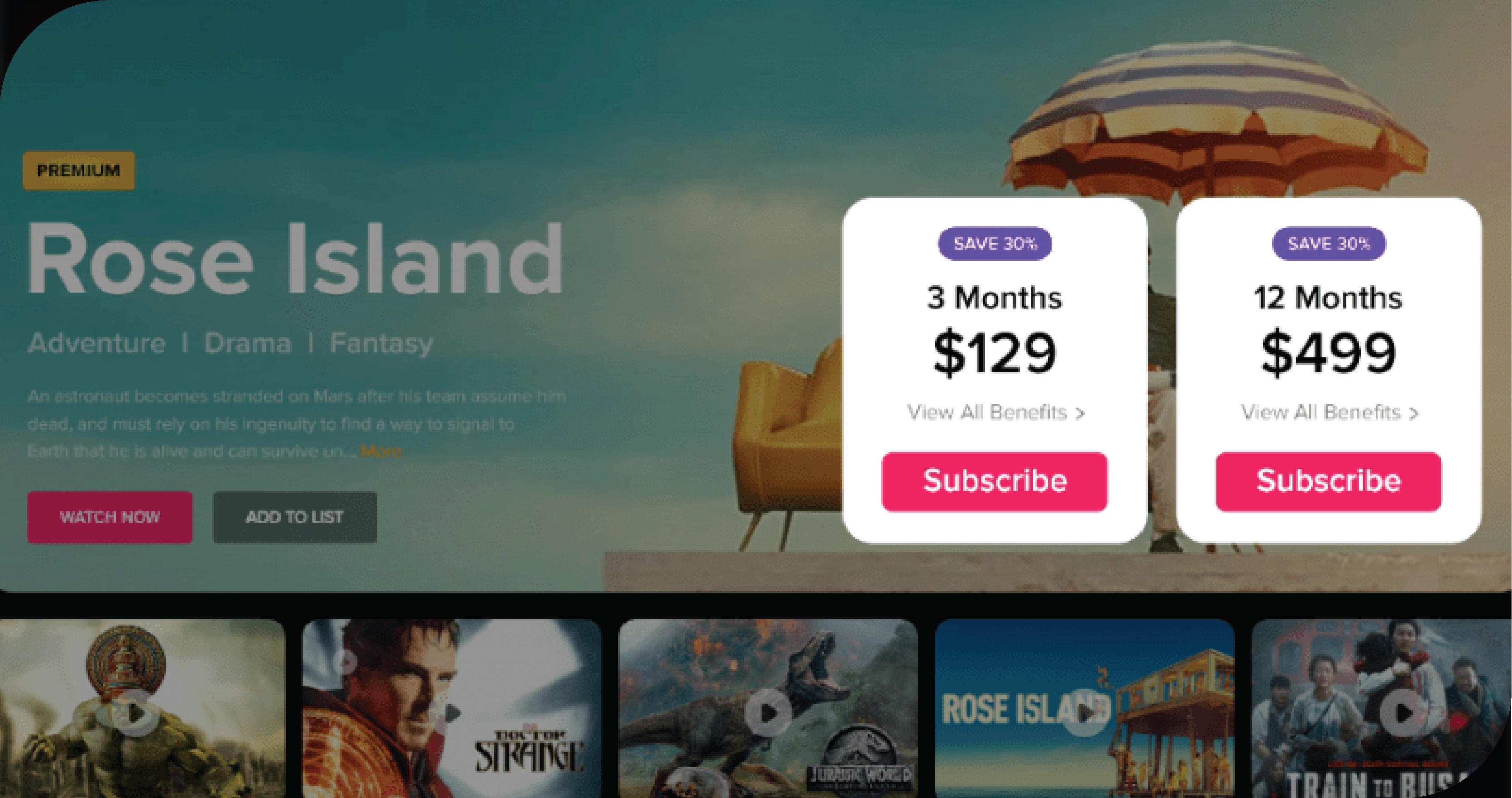 Optimizing Pricing and Subscription Models