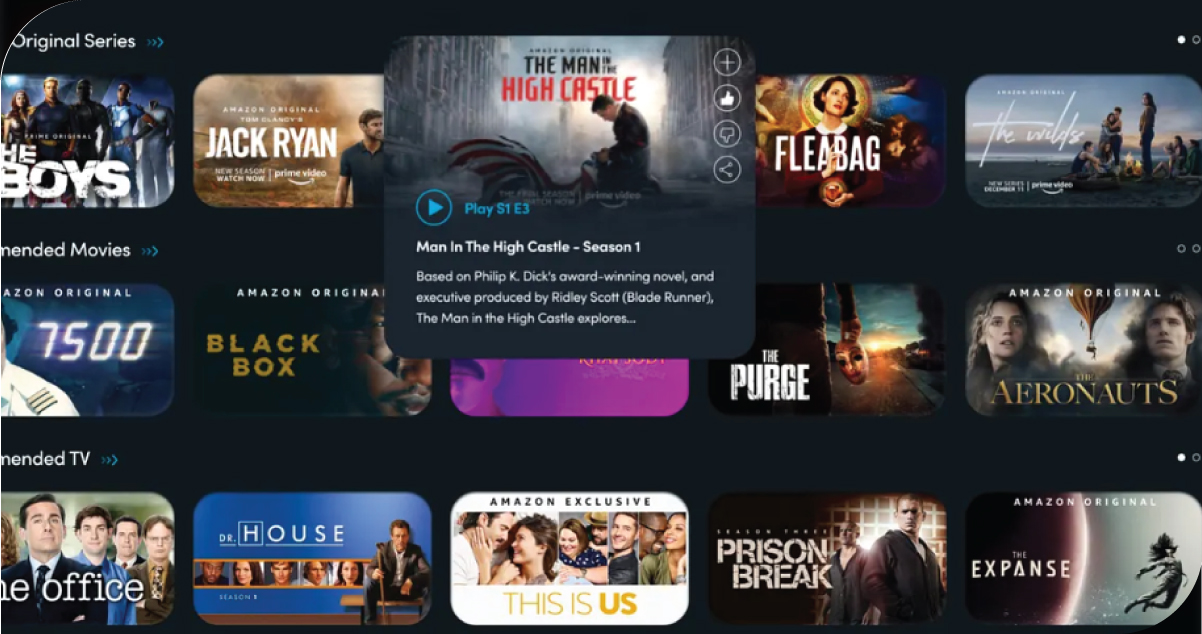 Applications-of-Scraped-Prime-Video-Data-in-Industry